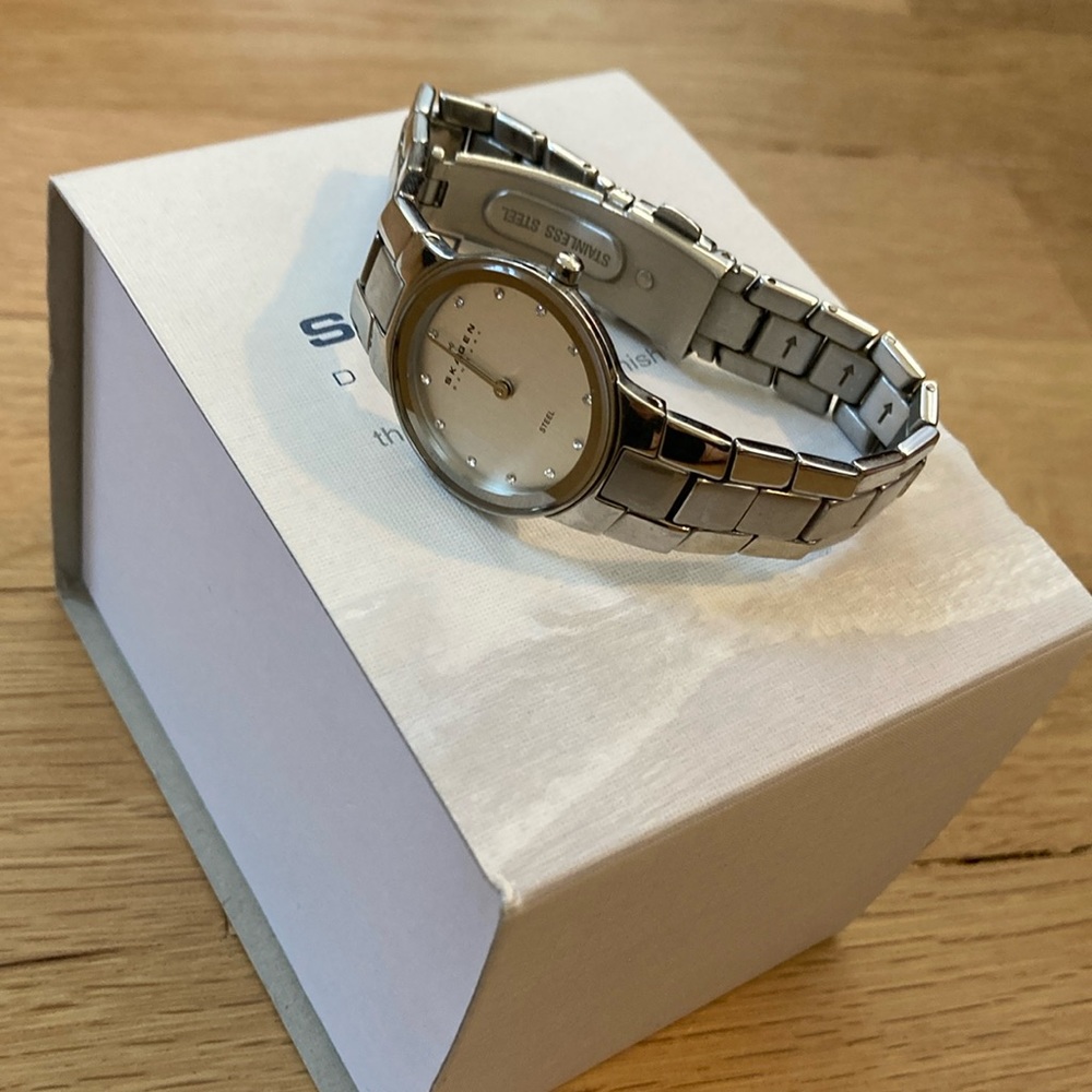 Skagen Watch